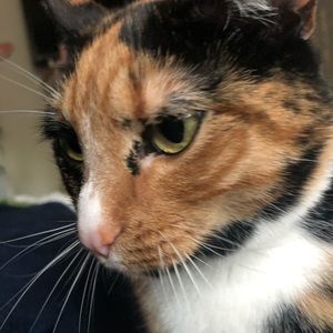 Meet your Posher, Lydia